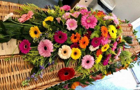 Mixed Gerbera Coffin Spray